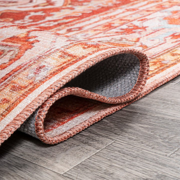 Asa Ornate Medallion Washable Area Rug